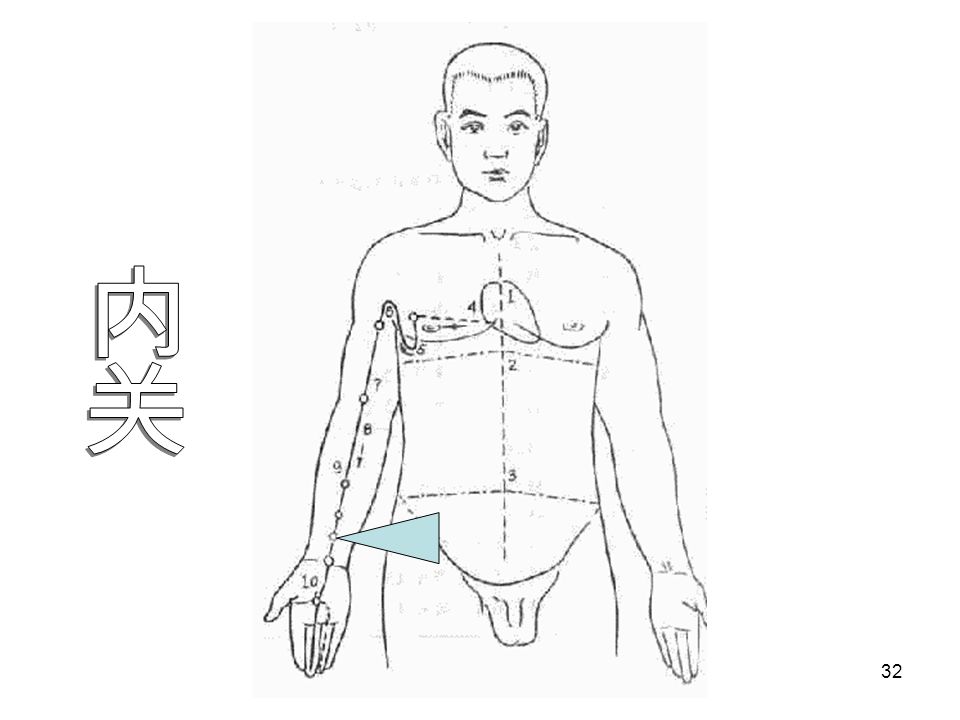 31 内关 （手厥阴心包经） 定位 ： 腕横纹上 2 寸，掌长肌腱与桡侧腕屈肌 腱之间。 作用：宁心安神、宽胸和胃 操作：直和斜刺 1—1 。 5 寸。 针感：以酸、麻、涨为主，时有放射感。 解剖：有前臂正中动静脉，有正中神经的皮支 。