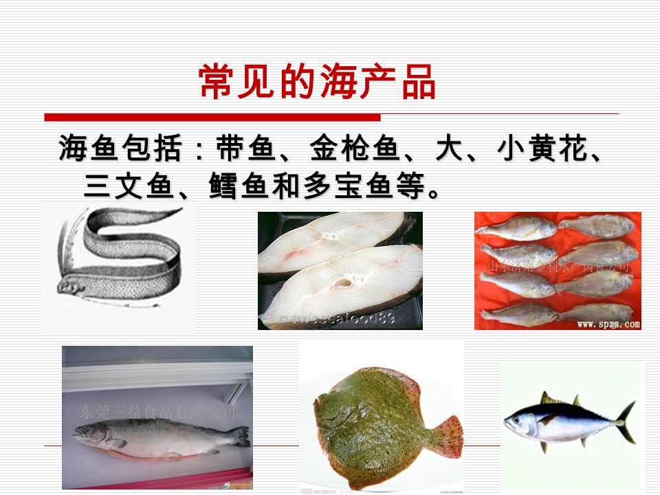 常见的海产品 海鱼包括：带鱼、金枪鱼、大、小黄花、 三文鱼、鳕鱼和多宝鱼等 。 29