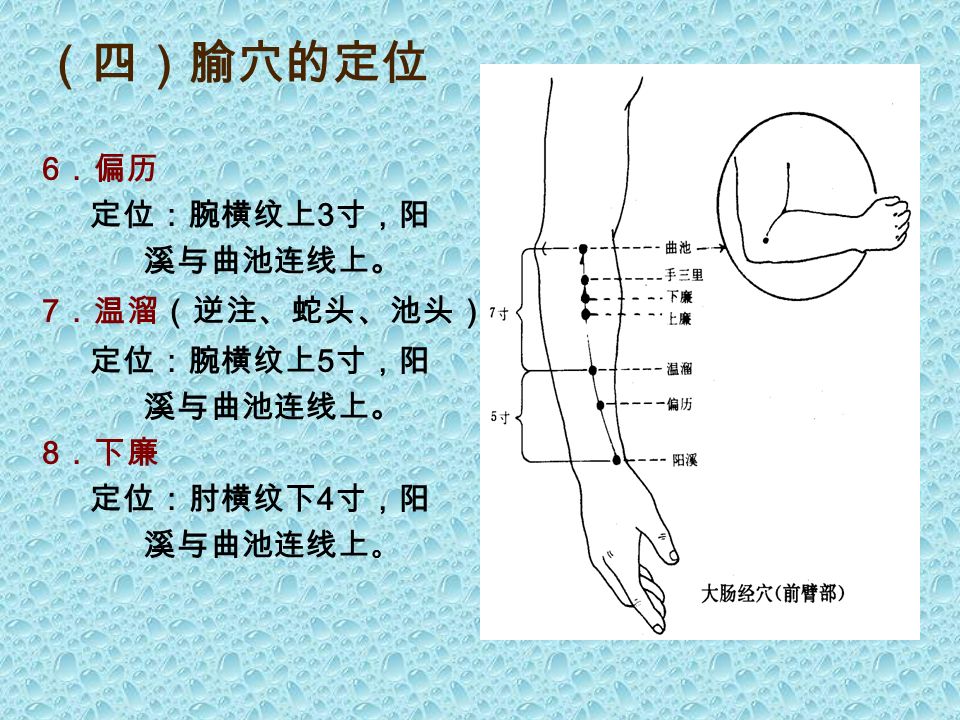 （四）腧穴的定位 4. 合谷 定位：在手背，第一、 二掌骨间，当 第二掌骨桡侧 的中点处。 5. 阳溪 定位：腕背横纹桡侧， 当拇短伸肌腱与 拇长伸肌腱之间 的凹陷处。