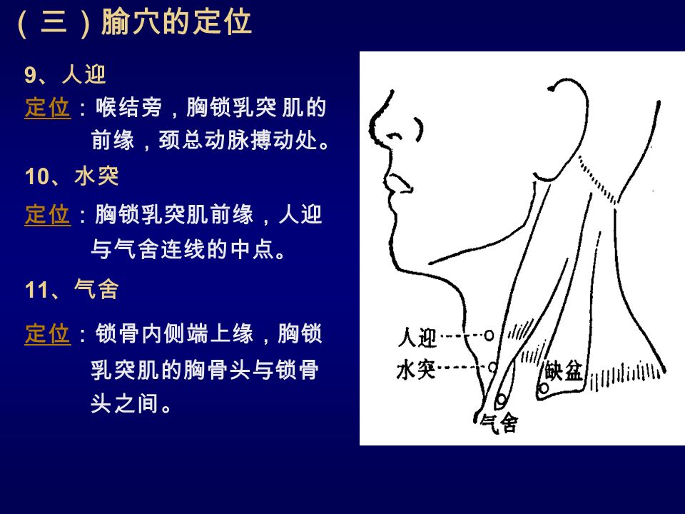 （三）腧穴的定位 9 、人迎 定位定位：喉结旁，胸锁乳突 肌的 前缘，颈总动脉搏动处。 10 、水突 定位定位：胸锁乳突肌前缘，人迎 与气舍连线的中点 。 11 、气舍 定位定位：锁骨内侧端上缘，胸锁 乳突肌的胸骨头与锁骨 头之间。