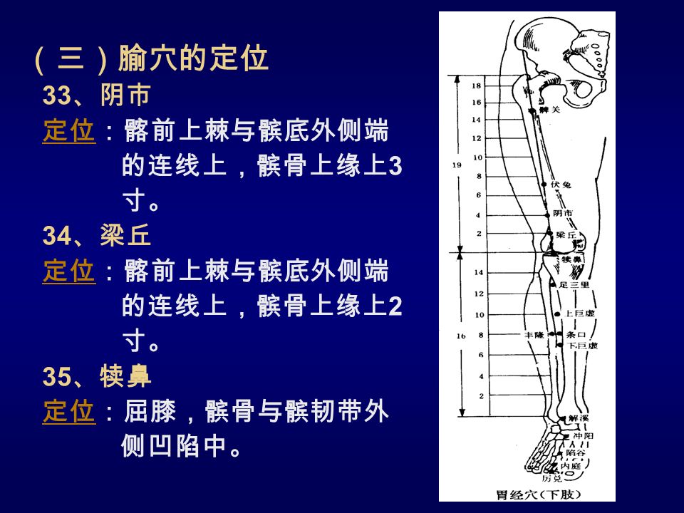（三）腧穴的定位 33 、阴市 定位定位：髂前上棘与髌底外侧端 的连线上，髌骨上缘上 3 寸。 34 、梁丘 定位定位：髂前上棘与髌底外侧端 的连线上，髌骨上缘上 2 寸。 35 、犊鼻 定位定位：屈膝，髌骨与髌韧带外 侧凹陷中。