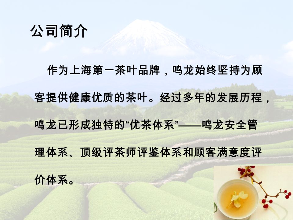 作为上海第一茶叶品牌，鸣龙始终坚持为顾 客提供健康优质的茶叶。经过多年的发展历程， 鸣龙已形成独特的 优茶体系 —— 鸣龙安全管 理体系、顶级评茶师评鉴体系和顾客满意度评 价体系。 公司简介