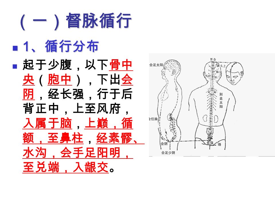 刘某 男 1 个月 1955 年初诊 督脉疣状痣 自幼发病，角化性 丘疹，沿督脉呈带 状排列，从鼻中隔 底部至印堂穴。 督脉经络现象