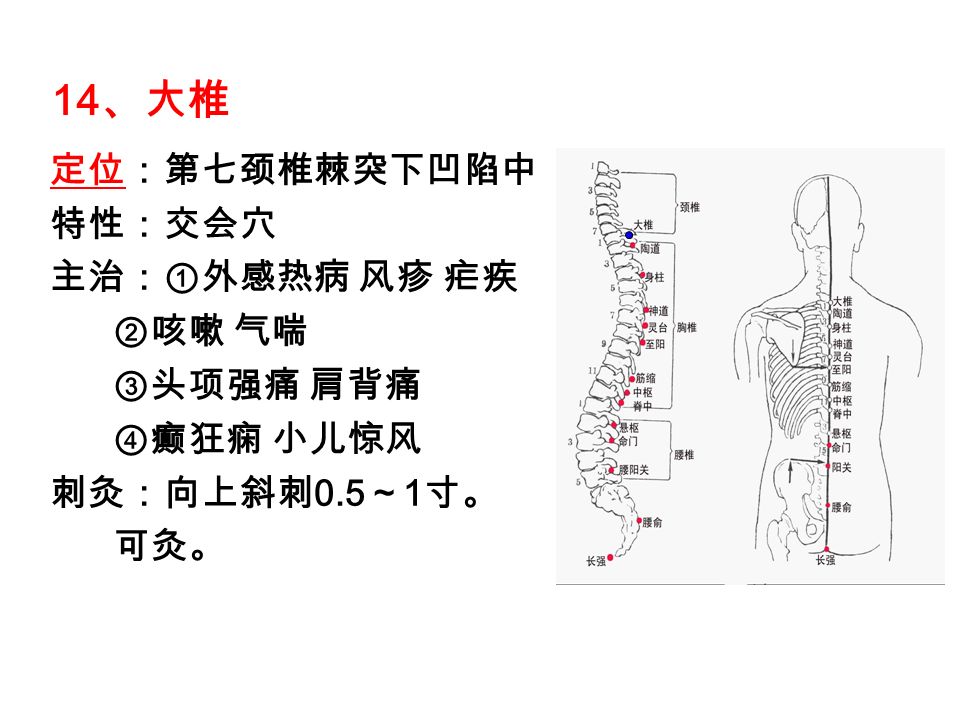 12 、身柱 定位定位：第三胸椎棘突下 凹陷中。 13 、陶道 定位定位：第一胸椎棘突下 凹陷中。
