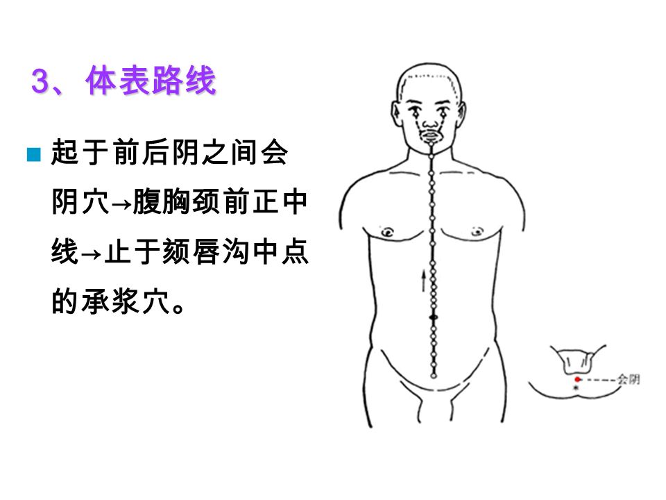 3 、体表路线 起于前后阴之间会 阴穴 → 腹胸颈前正中 线 → 止于颏唇沟中点 的承浆穴。