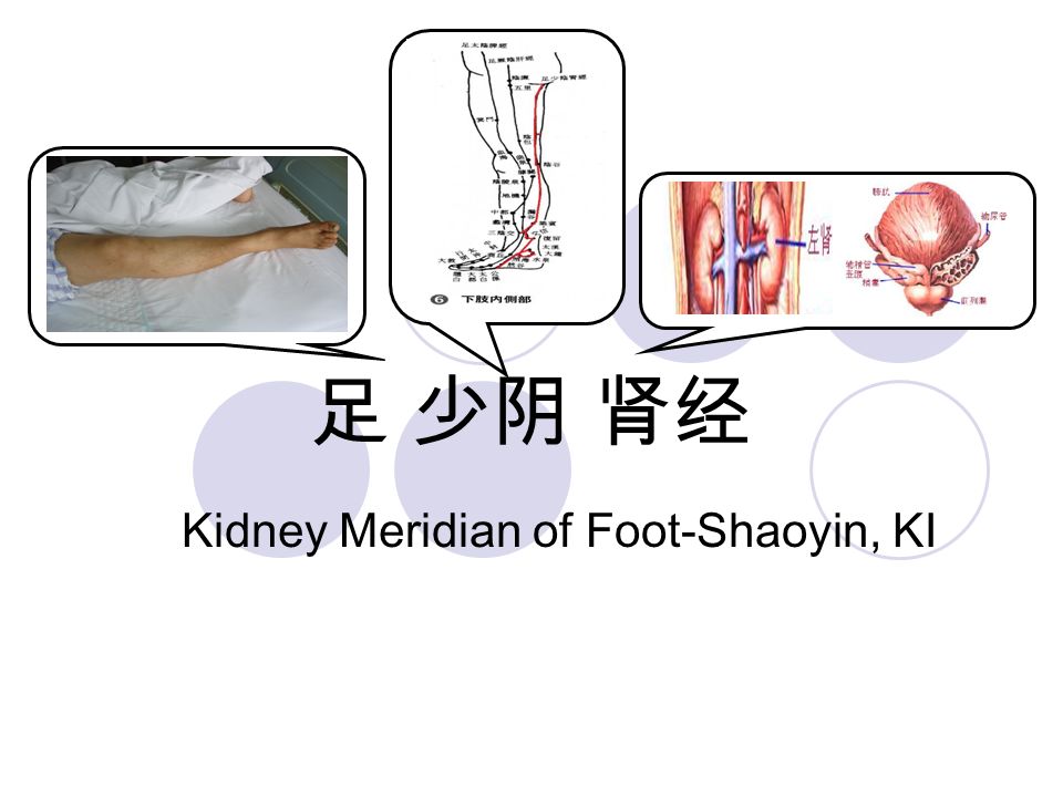 足 少阴 肾经 Kidney Meridian of Foot-Shaoyin, KI