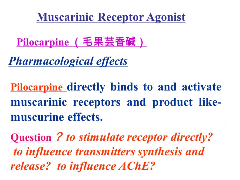 Pilocarpine （毛果芸香碱） Muscarinic Receptor Agonist Pharmacological effects Pilocarpine directly binds to and activate muscarinic receptors and product like- muscurine effects.