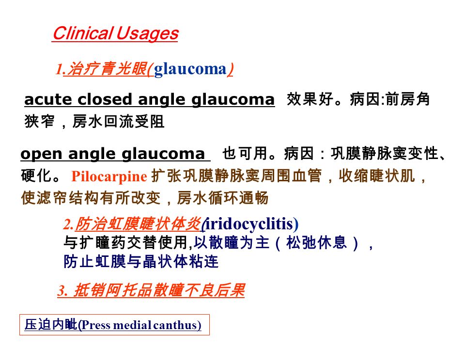 Clinical Usages 1. 治疗青光眼 ( glaucoma ) 2.