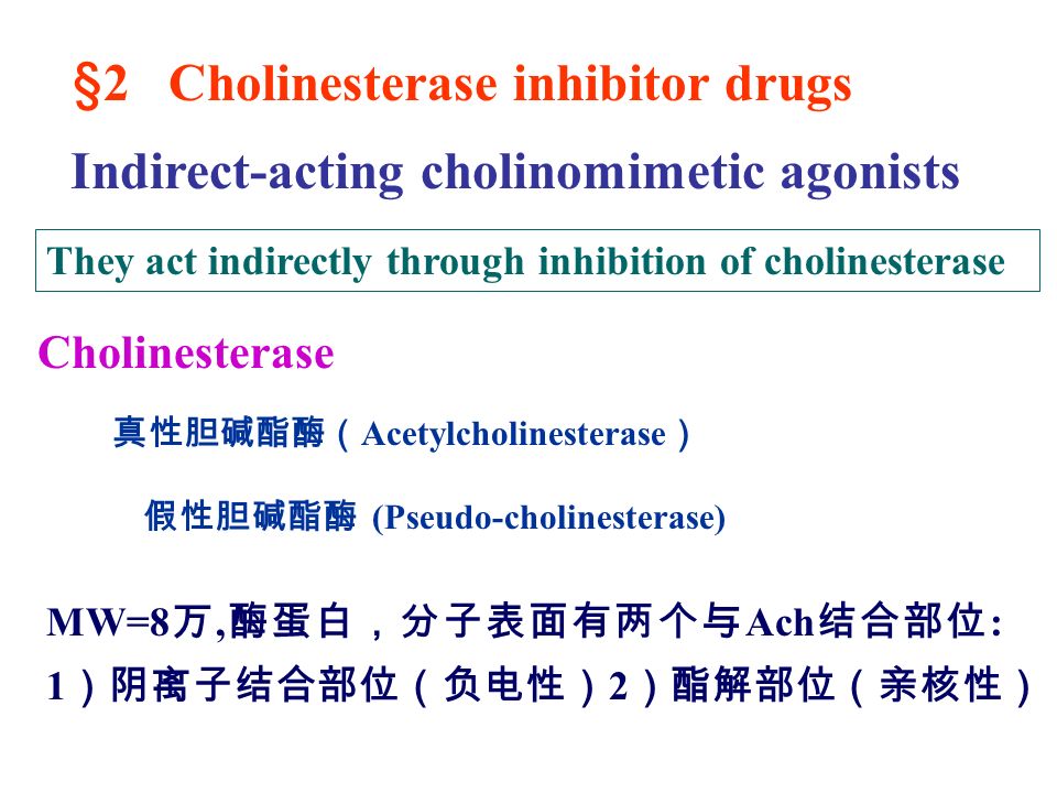 MW=8 万, 酶蛋白，分子表面有两个与 Ach 结合部位 : 1 ）阴离子结合部位（负电性） 2 ）酯解部位（亲核性） 真性胆碱酯酶（ Acetylcholinesterase ） 假性胆碱酯酶 (Pseudo-cholinesterase) §2 Cholinesterase inhibitor drugs Cholinesterase Indirect-acting cholinomimetic agonists They act indirectly through inhibition of cholinesterase