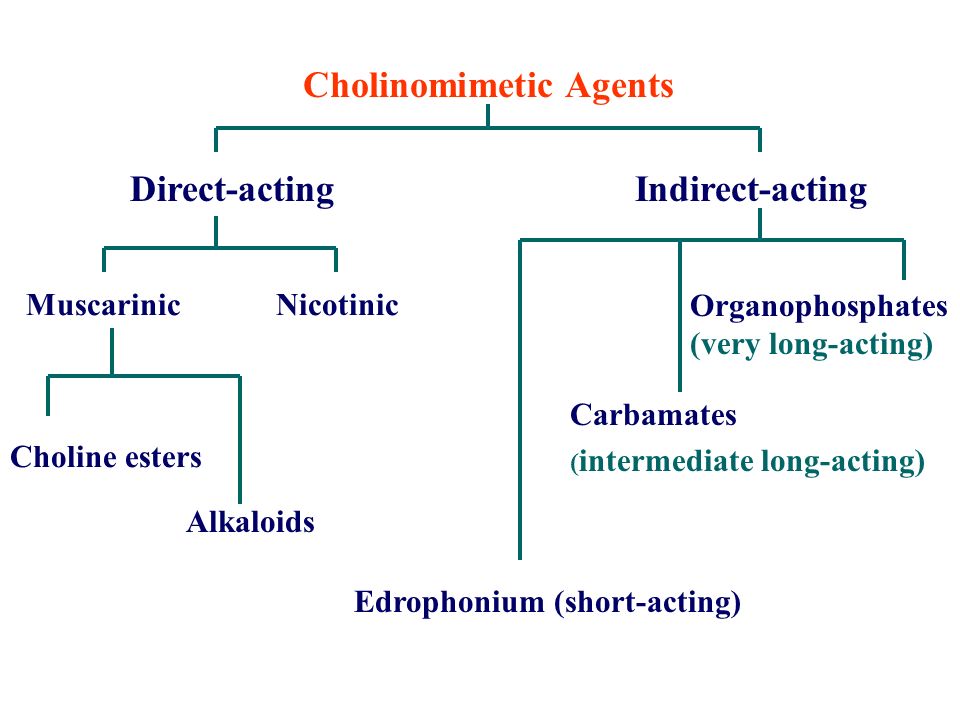 Cholinomimetic Agents Direct-acting Indirect-acting Muscarinic Nicotinic Choline esters Alkaloids Edrophonium (short-acting) Carbamates ( intermediate long-acting) Organophosphates (very long-acting)