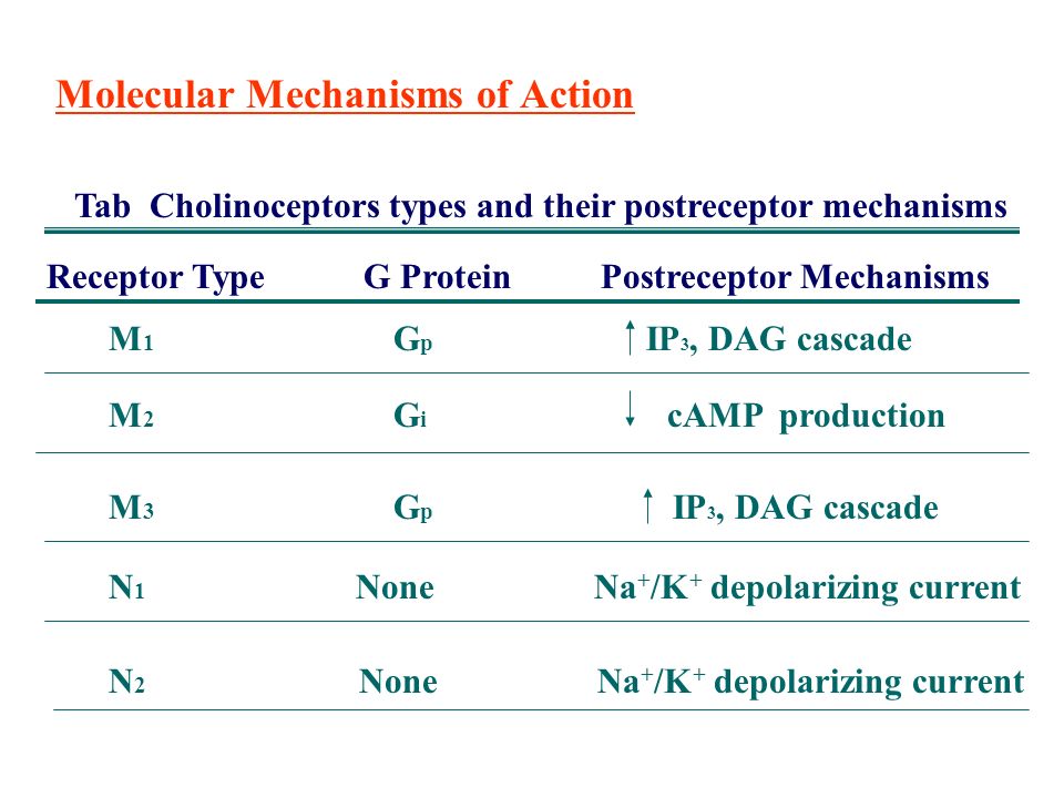 Molecular Mechanisms of Action Tab Cholinoceptors types and their postreceptor mechanisms Receptor Type G Protein Postreceptor Mechanisms M 1 G p IP 3, DAG cascade M 2 G i cAMP production M 3 G p IP 3, DAG cascade N 1 None Na + /K + depolarizing current N 2 None Na + /K + depolarizing current