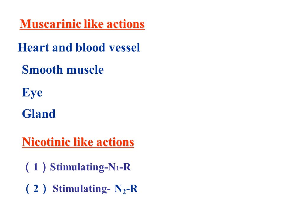 Muscarinic like actions Heart and blood vessel Smooth muscle Eye Gland Nicotinic like actions （ 1 ） Stimulating-N 1 -R （ 2 ） Stimulating- N 2 -R