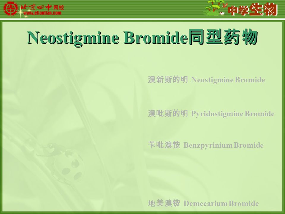 Neostigmine Bromide 同型药物 溴新斯的明 Neostigmine Bromide 溴吡斯的明 Pyridostigmine Bromide 苄吡溴铵 Benzpyrinium Bromide 地美溴铵 Demecarium Bromide