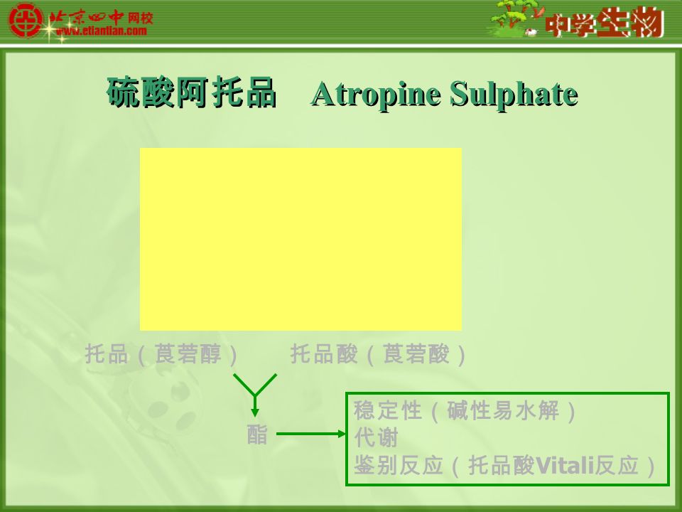 硫酸阿托品 Atropine Sulphate 托品（莨菪醇）托品酸（莨菪酸） 酯 稳定性（碱性易水解） 代谢 鉴别反应（托品酸 Vitali 反应）