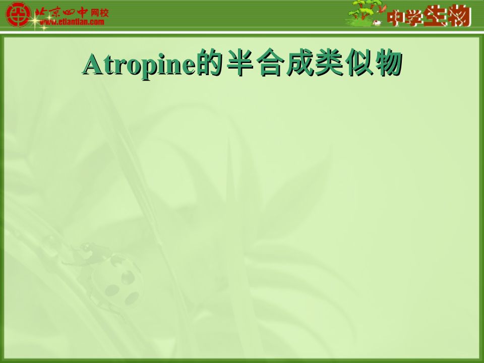 Atropine 的半合成类似物