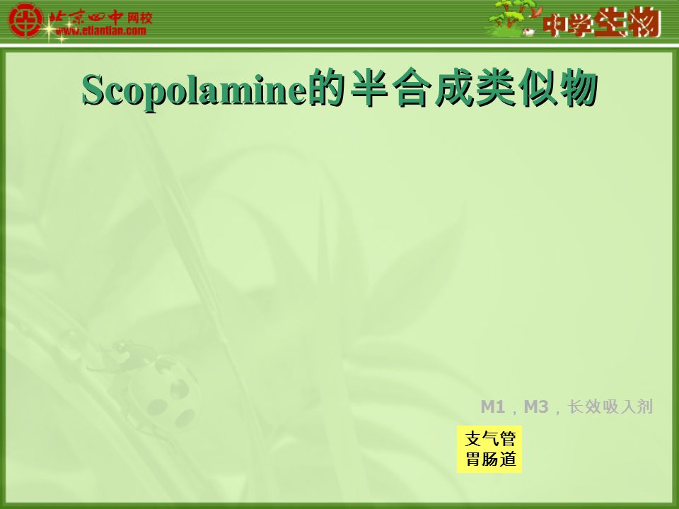 Scopolamine 的半合成类似物 支气管 胃肠道 M1 ， M3 ，长效吸入剂