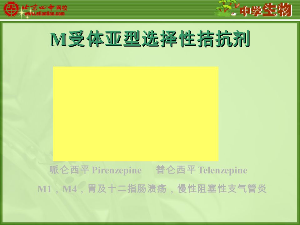 M 受体亚型选择性拮抗剂 哌仑西平 Pirenzepine 替仑西平 Telenzepine M1 ， M4 ，胃及十二指肠溃疡，慢性阻塞性支气管炎
