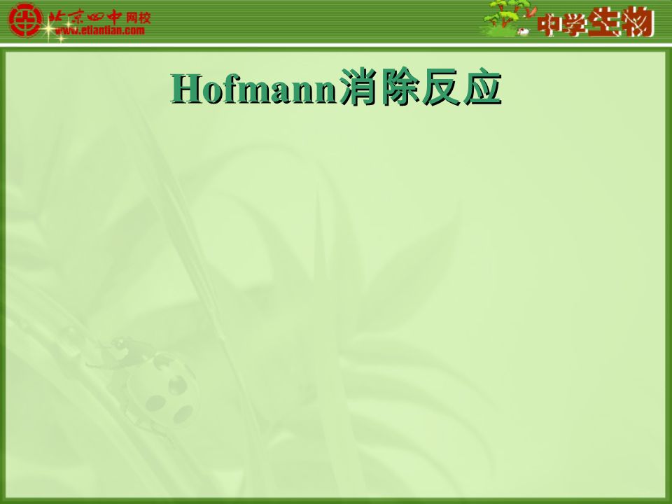 Hofmann 消除反应