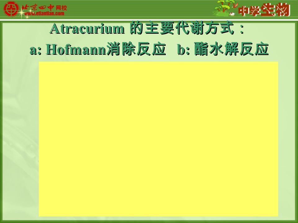 Atracurium 的主要代谢方式： a: Hofmann 消除反应 b: 酯水解反应