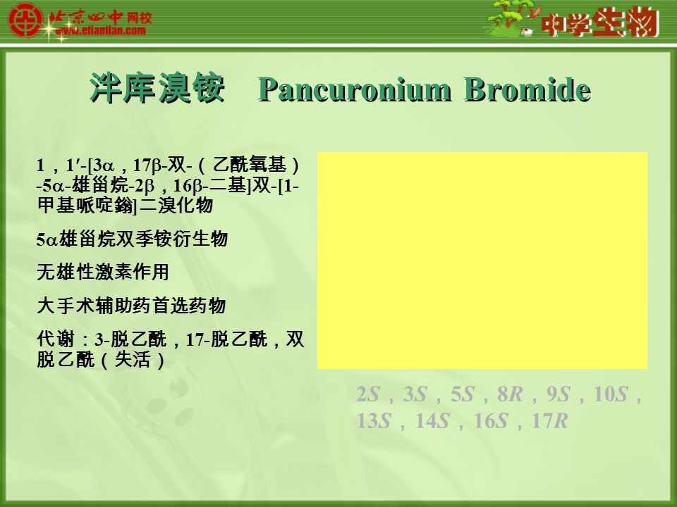 泮库溴铵 Pancuronium Bromide 1 ， 1-[3  ， 17  - 双 - （乙酰氧基） -5  - 雄甾烷 -2  ， 16  - 二基 ] 双 -[1- 甲基哌啶鎓 ] 二溴化物 5  雄甾烷双季铵衍生物 无雄性激素作用 大手术辅助药首选药物 代谢： 3- 脱乙酰， 17- 脱乙酰，双 脱乙酰（失活） 2S ， 3S ， 5S ， 8R ， 9S ， 10S ， 13S ， 14S ， 16S ， 17R