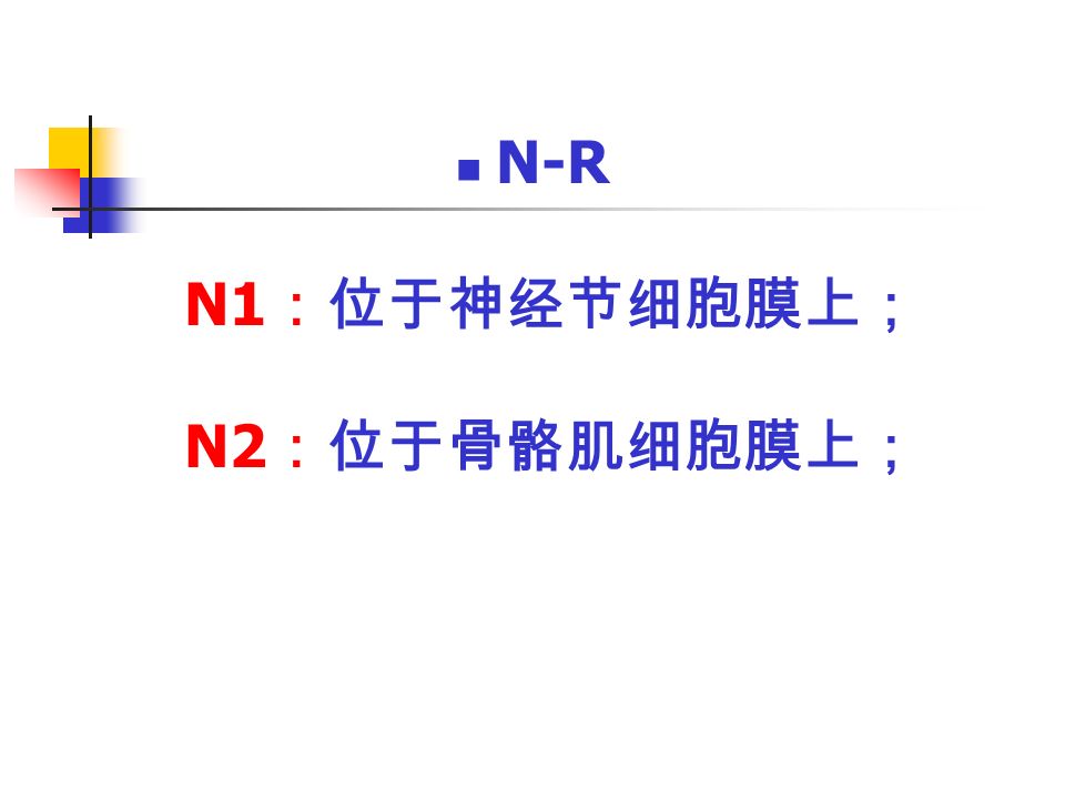 N-R N1 ：位于神经节细胞膜上； N2 ：位于骨骼肌细胞膜上；