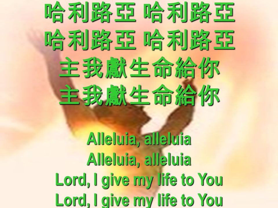 哈利路亞 哈利路亞 主我獻生命給你主我獻生命給你 Alleluia, alleluia Lord, I give my life to You