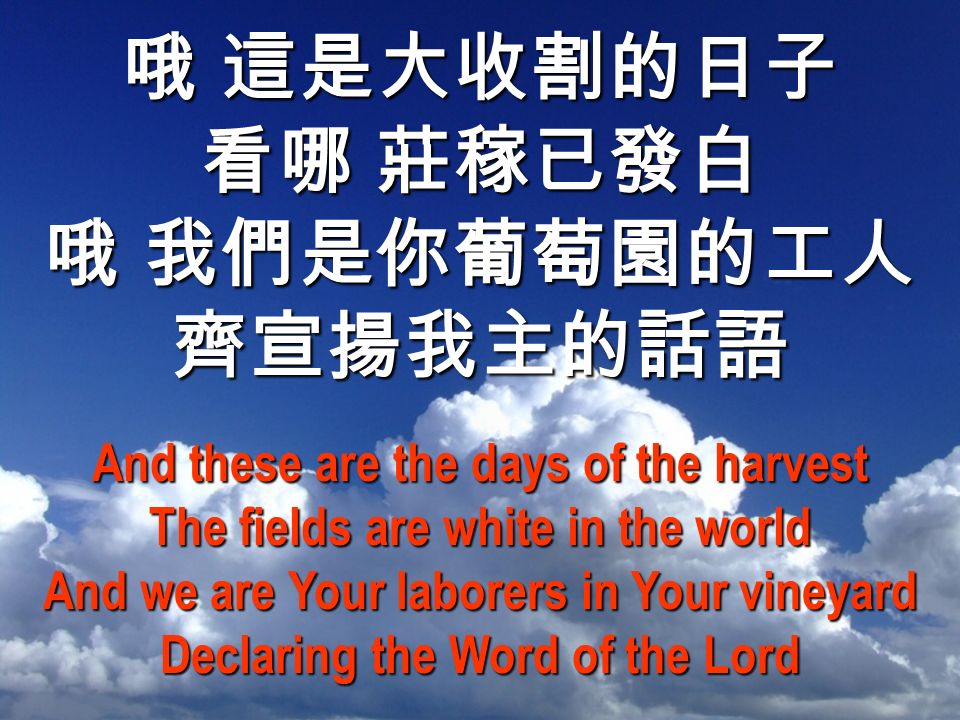 哦 這是大收割的日子 看哪 莊稼已發白 哦 我們是你葡萄園的工人 齊宣揚我主的話語 And these are the days of the harvest The fields are white in the world And we are Your laborers in Your vineyard Declaring the Word of the Lord