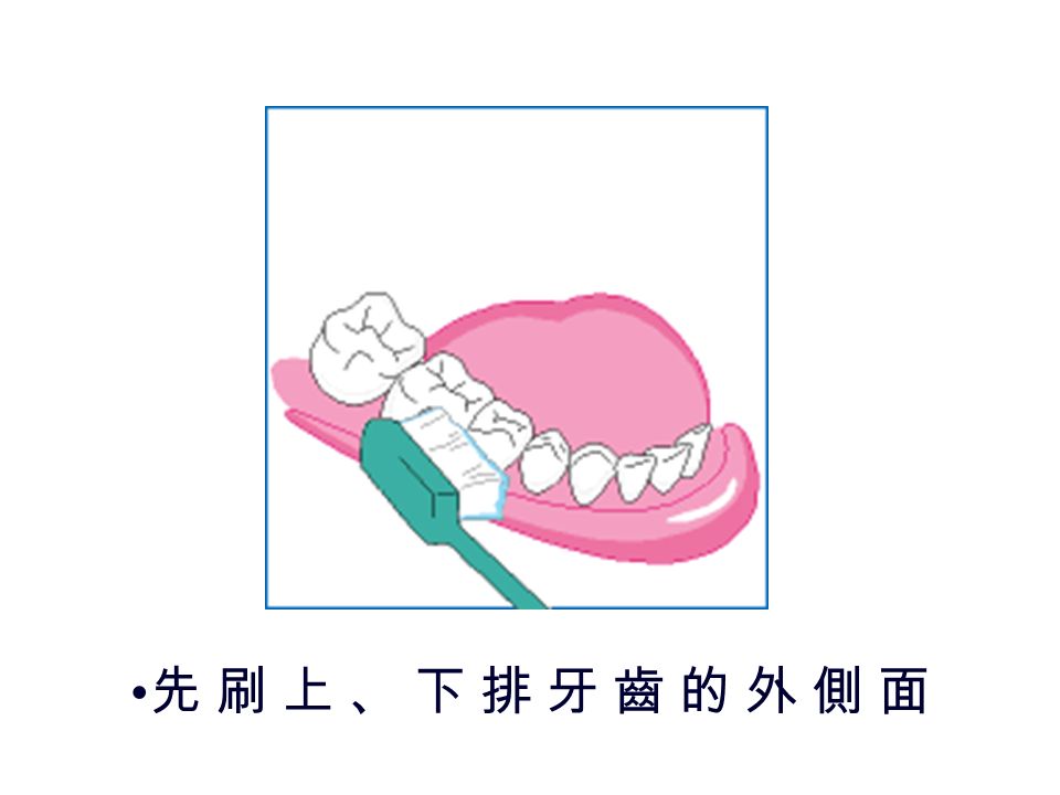 正確的潔牙方法 貝氏刷牙法 牙刷 45 度朝向牙齦，輕壓橫向小幅度振 動 15 次 每次只刷 2~3 顆牙 同時刷到牙齒和牙齦依序裡外上下刷乾 淨