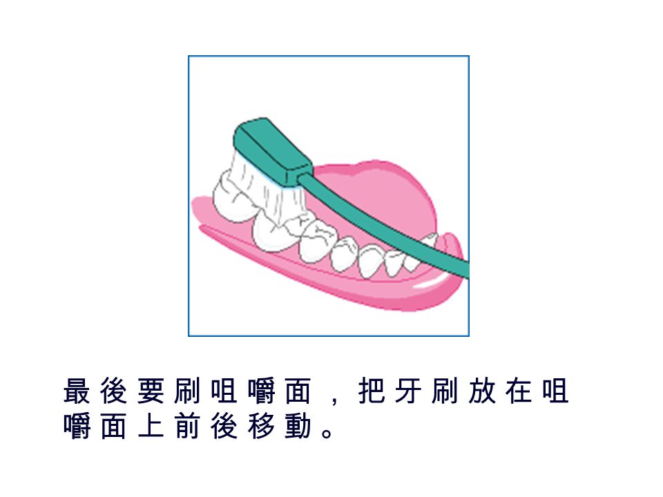 刷 門 牙 內 側 面 的 時 候 ， 牙 刷 要 直 立 放 置 ， 用 適中 的 力 度 從 牙 齦 刷 向 牙 冠 。刷 門 牙 內 側 面 的 時 候 ， 牙 刷 要 直 立 放 置 ， 用 適中 的 力 度 從 牙 齦 刷 向 牙 冠 。
