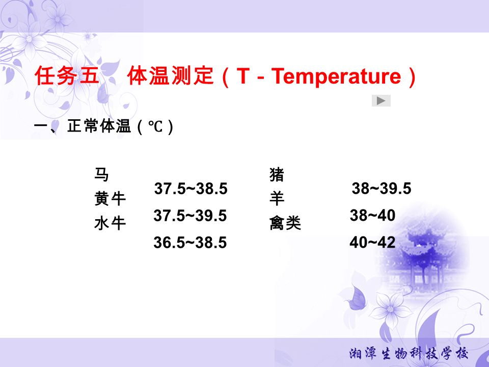任务五 体温测定（ T － Temperature ） 一、正常体温（℃） 马 猪 黄牛 羊 水牛 禽类 37.5~ ~ ~ ~ ~ ~42 7