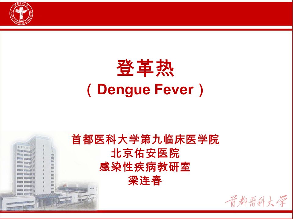 登革热 （ Dengue Fever ） 首都医科大学第九临床医学院 北京佑安医院 感染性疾病教研室 梁连春