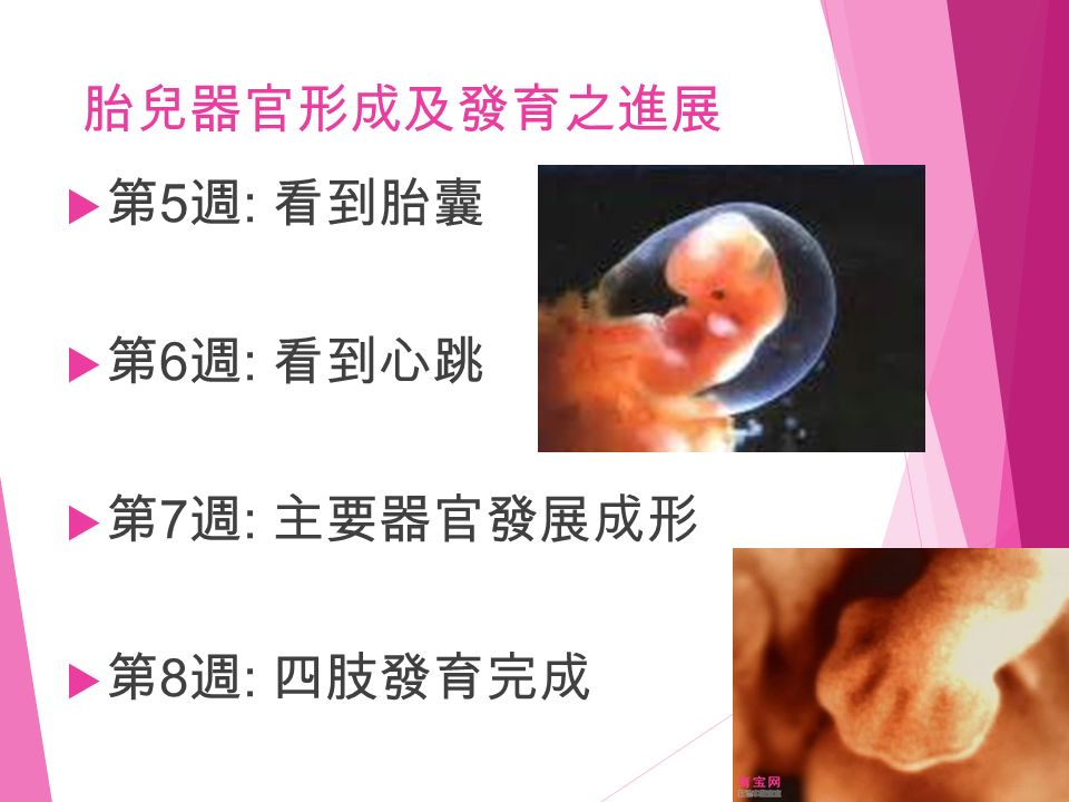 胎兒器官形成及發育之進展  第 5 週 : 看到胎囊  第 6 週 : 看到心跳  第 7 週 : 主要器官發展成形  第 8 週 : 四肢發育完成