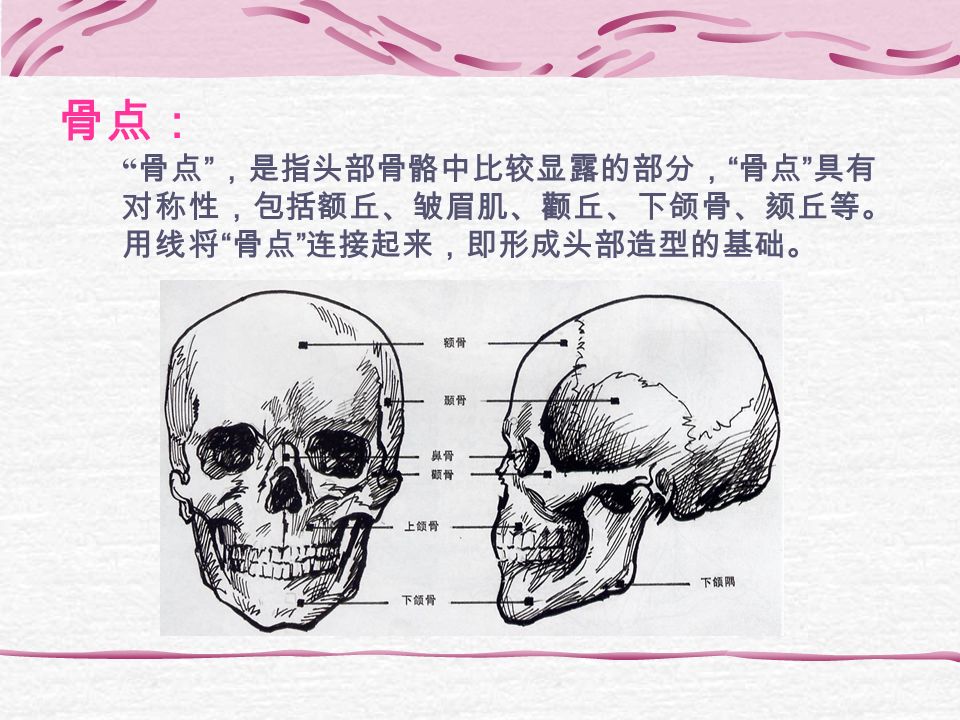 骨点： 骨点 ，是指头部骨骼中比较显露的部分， 骨点 具有 对称性，包括额丘、皱眉肌、颧丘、下颌骨、颏丘等。 用线将 骨点 连接起来，即形成头部造型的基础。