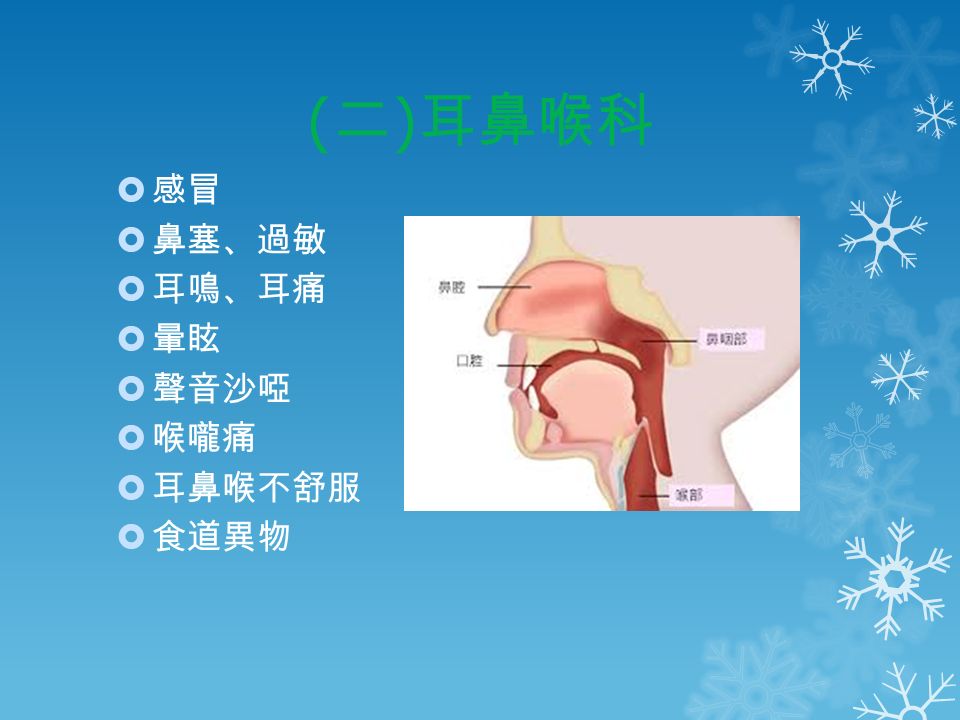 ( 二 ) 耳鼻喉科  感冒  鼻塞、過敏  耳鳴、耳痛  暈眩  聲音沙啞  喉嚨痛  耳鼻喉不舒服  食道異物
