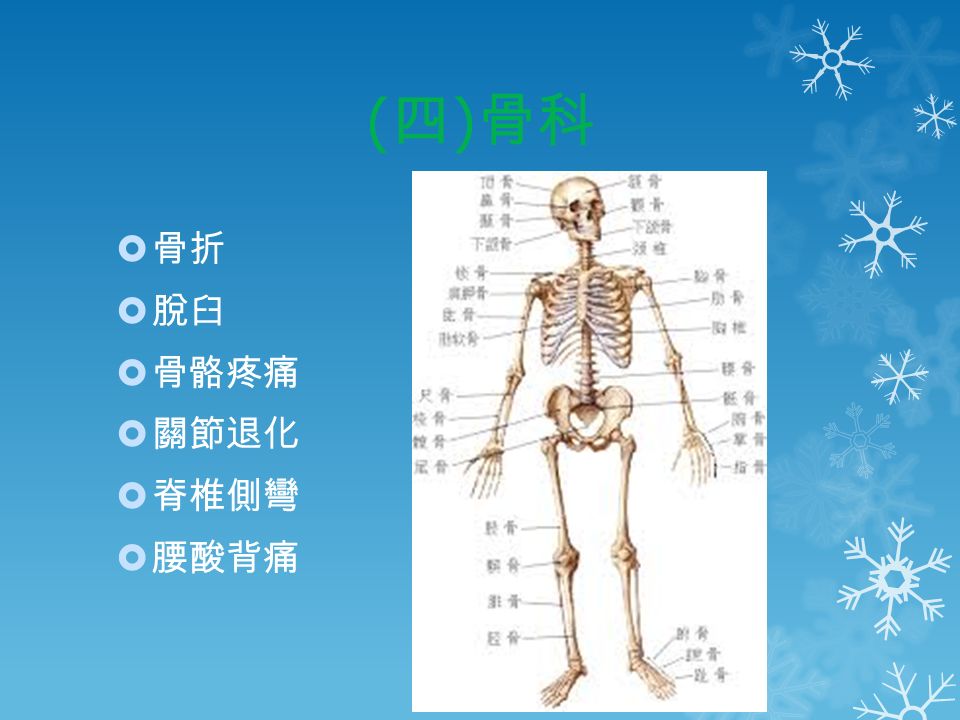 ( 四 ) 骨科  骨折  脫臼  骨骼疼痛  關節退化  脊椎側彎  腰酸背痛