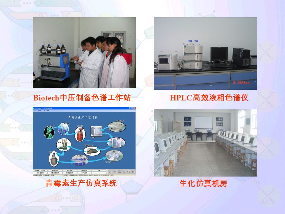 青霉素生产仿真系统 生化仿真机房 Biotech 中压制备色谱工作站 HPLC 高效液相色谱仪