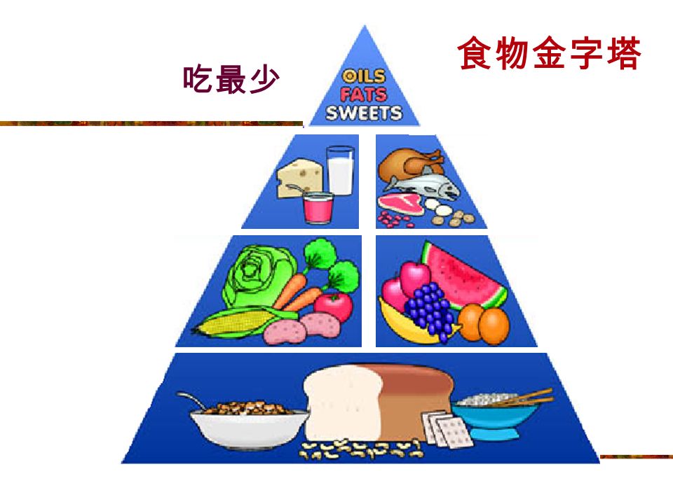 吃最多 吃適量 吃多些 食物金字塔