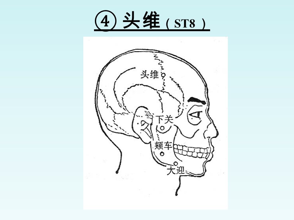 ④ 头维 （ ST8 ）
