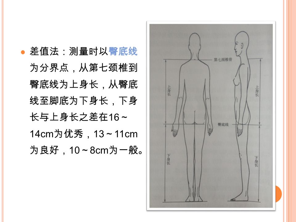 第四章服装模特4 3 服装模特的基本条件 模特的基本条件就是形体 即人的整体外形 包括身高 体重 比例 头型 脸型 颈肩 三围 四肢和手脚的形态 Ppt Download