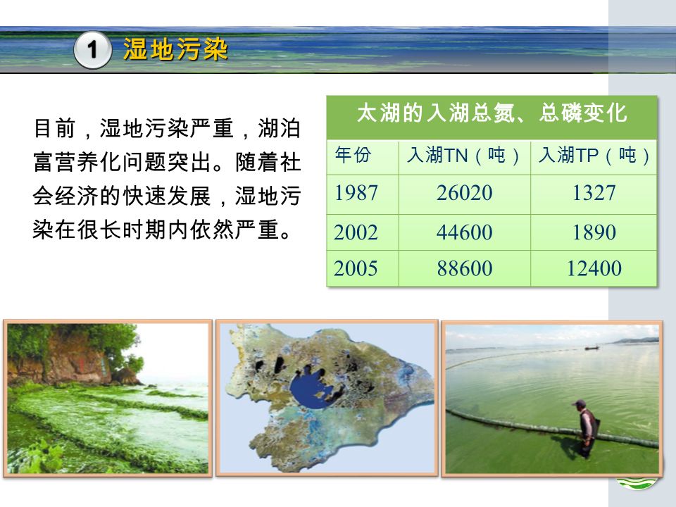 目前，湿地污染严重，湖泊 富营养化问题突出。随着社 会经济的快速发展，湿地污 染在很长时期内依然严重。 湿地污染 1