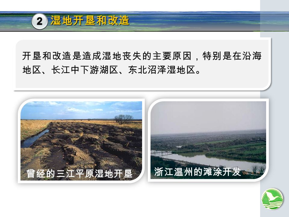 曾经的三江平原湿地开垦 浙江温州的滩涂开发 湿地开垦和改造 开垦和改造是造成湿地丧失的主要原因，特别是在沿海 地区、长江中下游湖区、东北沼泽湿地区。 1