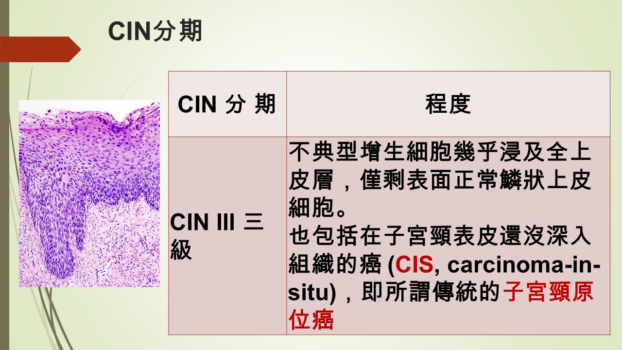 CIN 分期 程度 CIN III 三 級 不典型增生細胞幾乎浸及全上 皮層 ， 僅剩表面正常鱗狀上皮 細胞 。 也包括在子宮頸表皮還沒深入 組織的癌 (CIS, carcinoma-in- situ) ， 即所謂傳統的子宮頸原 位癌
