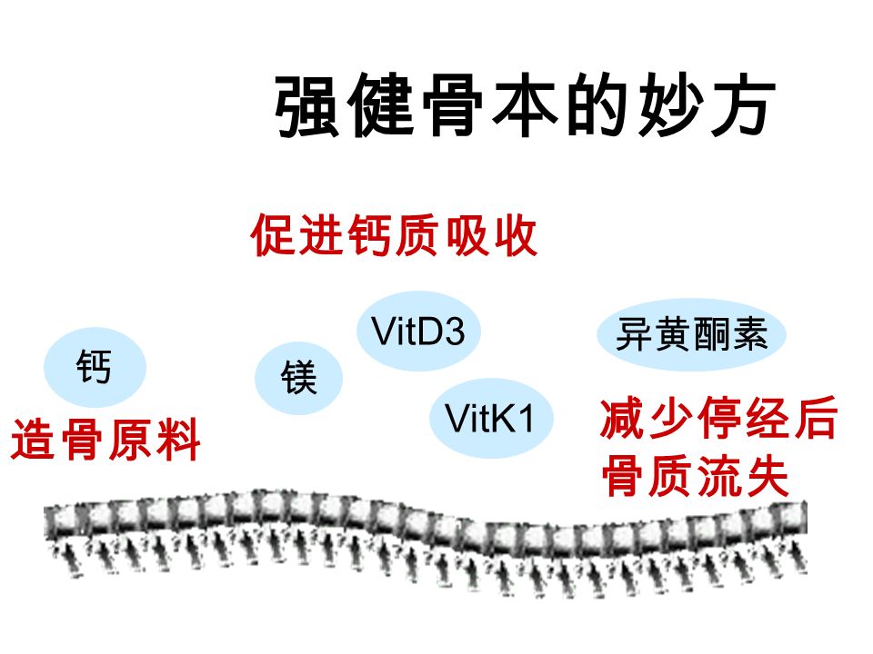 钙 镁 VitD3 VitK1 异黄酮素 强健骨本的妙方 造骨原料 促进钙质吸收 减少停经后 骨质流失