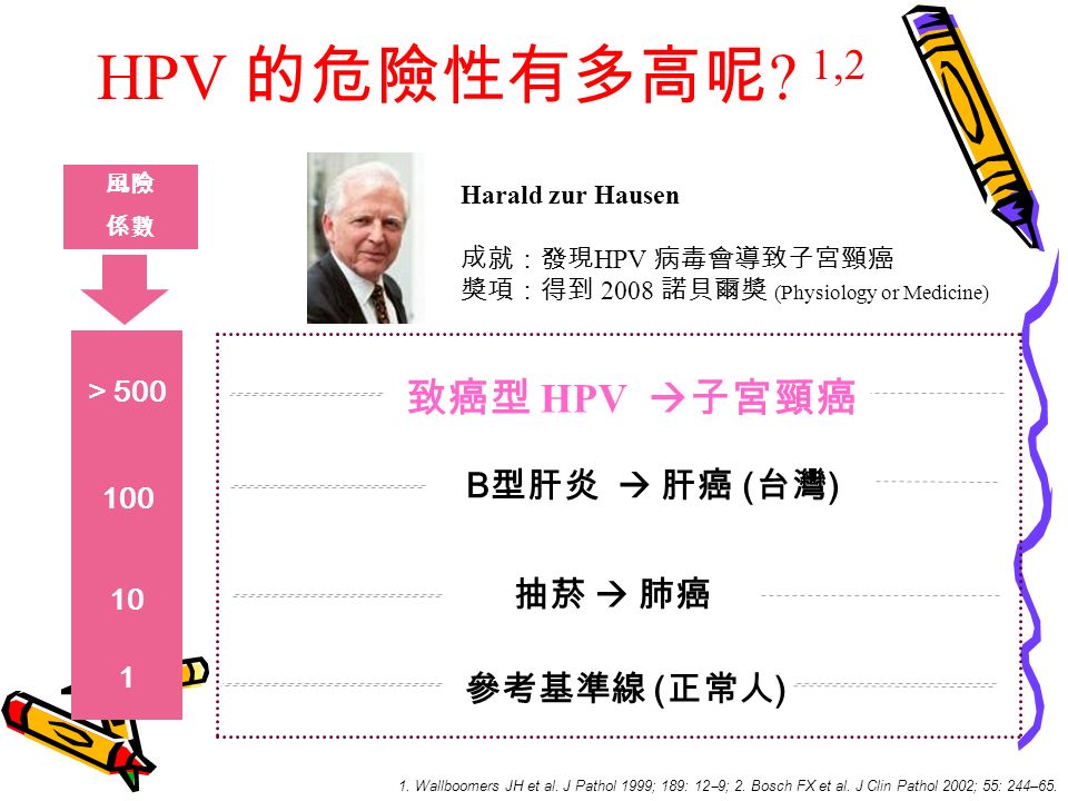HPV 的危險性有多高呢 . 1,2 參考基準線 ( 正常人 ) 抽菸  肺癌 B 型肝炎  肝癌 ( 台灣 ) 致癌型 HPV  子宮頸癌 > 500 風險 係數 1 1.