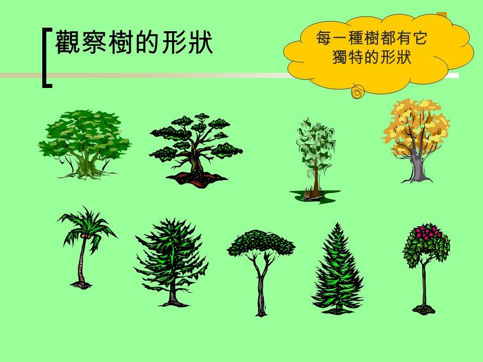 觀察樹的形狀 每一種樹都有它 獨特的形狀