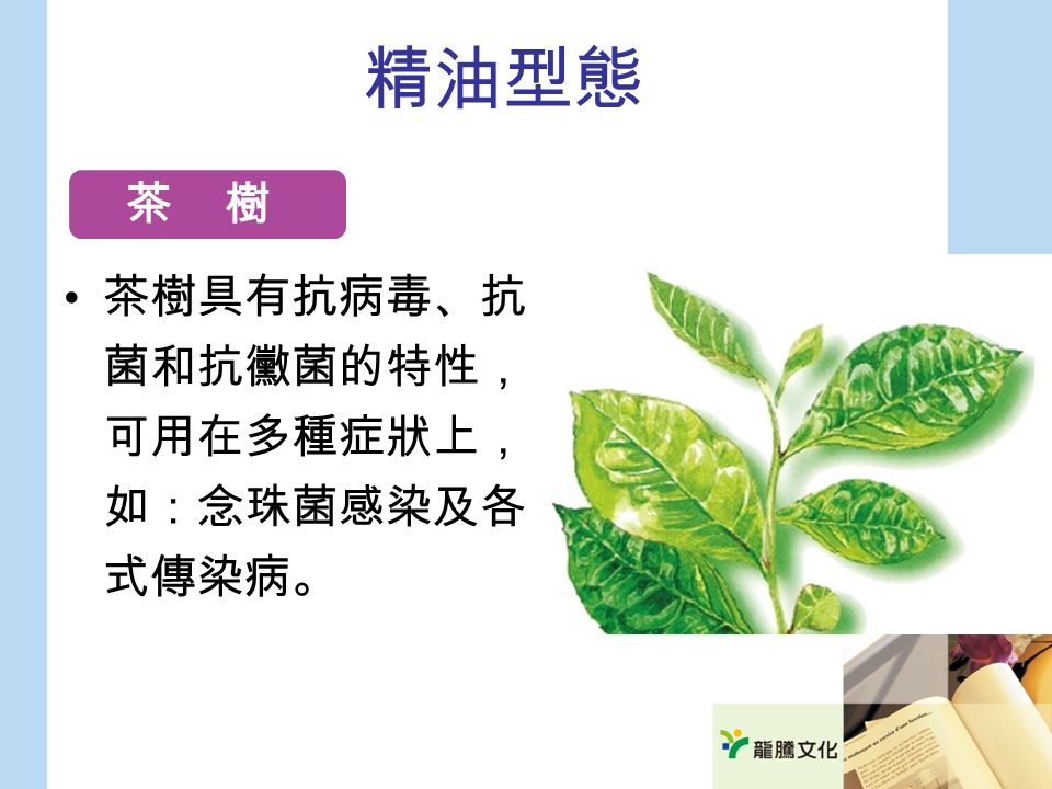 精油型態 茶樹具有抗病毒、抗 菌和抗黴菌的特性， 可用在多種症狀上， 如：念珠菌感染及各 式傳染病。 茶 樹