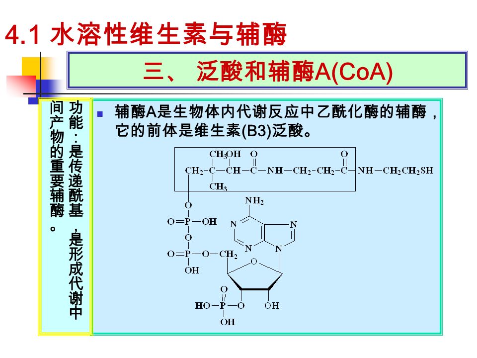 三、 泛酸和辅酶 A(CoA) 辅酶 A 是生物体内代谢反应中乙酰化酶的辅酶， 它的前体是维生素 (B3) 泛酸。 4.1 水溶性维生素与辅酶