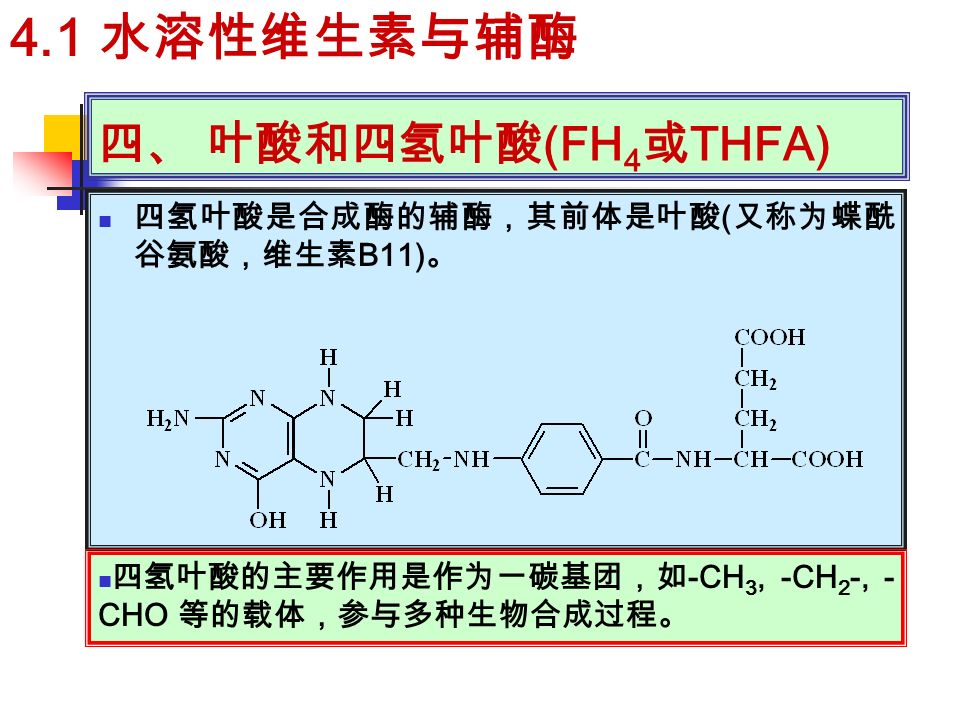 四、 叶酸和四氢叶酸 (FH 4 或 THFA) 四氢叶酸是合成酶的辅酶，其前体是叶酸 ( 又称为蝶酰 谷氨酸，维生素 B11) 。 四氢叶酸的主要作用是作为一碳基团，如 -CH 3, -CH 2 -, - CHO 等的载体，参与多种生物合成过程。 4.1 水溶性维生素与辅酶