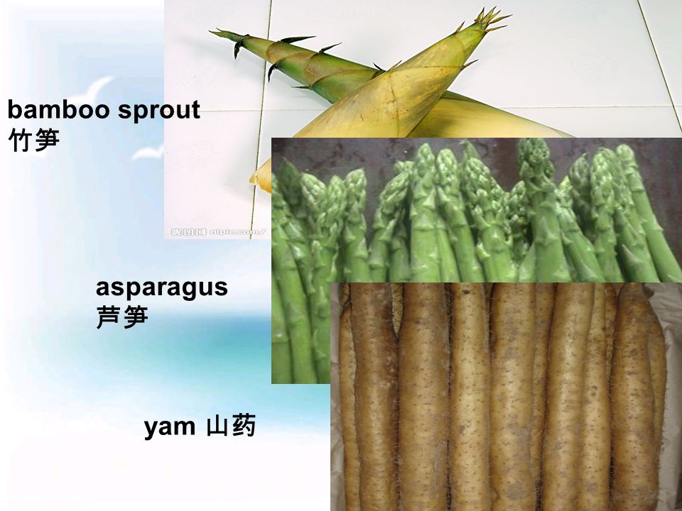 bamboo sprout 竹笋 asparagus 芦笋 yam 山药