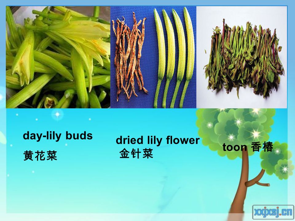 day-lily buds 黄花菜 dried lily flower 金针菜 toon 香椿